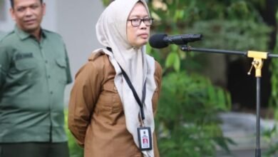 Pemprov Kalsel Maksimalkan Program Indonesia FOLU Net Sink 2030