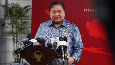 Targetkan Percepatan Penyelesaian Ketelanjuran Lahan, Pemerintah Kaji Regulasi Hingga Tingkatkan Dana Replanting Sawit