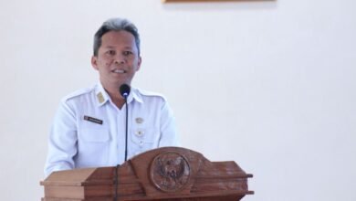 Pemprov Kalsel Terus Dukung PPNI Kalsel Menjadi Semakin Profesional