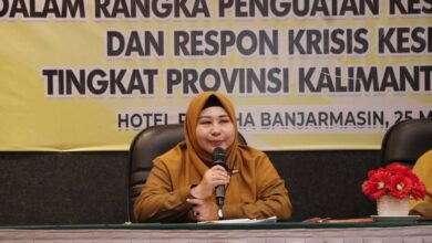 Tingkatkan Kesiapan Menghadapi Bencana, Pemprov Kalsel Gelar Workshop PPAM Kespro di Kalsel