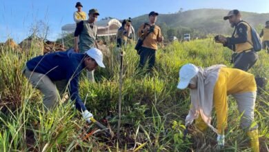 Gelorakan Revolusi Hijau Dengan Menanam 6.000 Bibit Gamal Di Gunung Pamaton