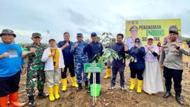 Gelorakan Revolusi Hijau Berhasil Tertanam 4.000 Bibit Jabon Di RTH Kawasan Industri Batulicin