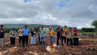 Gubernur Kalsel Gelorakan KESATRIA, Dukung Program Kementan Integrasikan Sawit dengan Padi Gogo