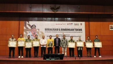 Gubernur Kalsel Serahkan Apresiasi Kalsel Procurement Award 2024