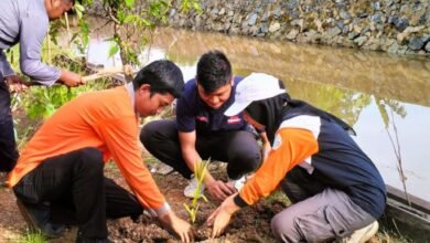 IPB Kalsel Ikut Gelorakan Revolusi Hijau, Pemprov Terus Upayakan Penyediaan Bibit Berkualitas