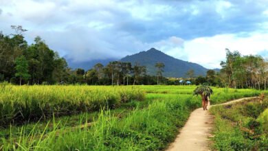 Kemenparekraf Siapkan Desa Wisata Topang Pembangunan di IKN