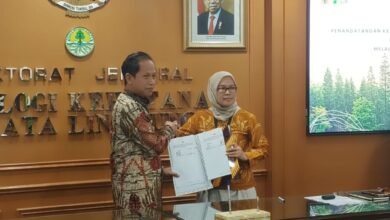 Pemprov Kalsel Lakukan Kerja Sama dalam Menyukseskan Program Indonesia FOLU Net Sink 2030