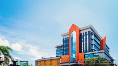 Pemprov Kalsel Terus Masifkan Penanganan Kasus DBD