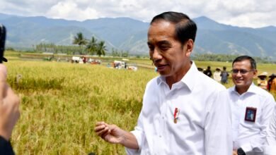 Presiden Jokowi Apresiasi Kemenangan Telak Timnas Indonesia atas Vietnam