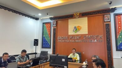 Realisasi Luas Panen Padi di Kalsel Selama 2023 Capai 214.284 Hektare