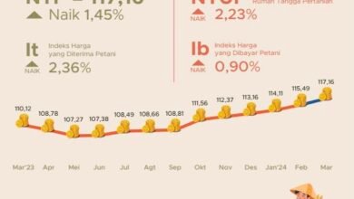 NTP Kalsel Naik 1,45 Persen pada Maret 2024
