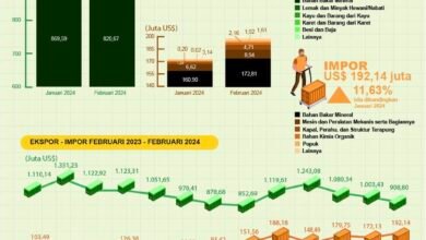 Ekspor Kalsel Capai US$908,80 Juta pada Februari 2024