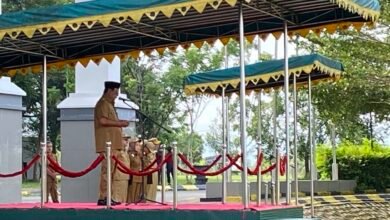 Apel Gabungan Awal April, Gubernur Kalsel : Roda Pemerintahan Berjalan Dengan Baik