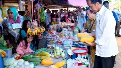 Kunjungi Pasar Tanjung Bungur, Presiden: Harga Semuanya Baik