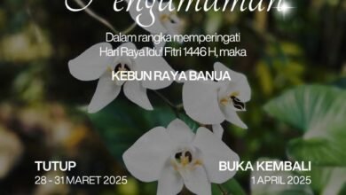 Libur Lebaran 1446 H, Kebun Raya Banua Kembali Beroperasi H+2 Lebaran