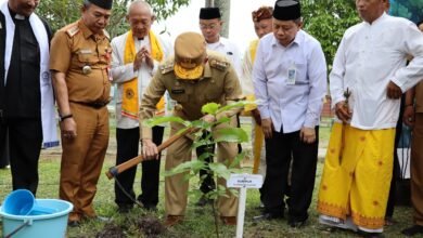 Gubernur Kalsel Turut Menyukseskan Gerakan Penanaman 1 Juta Pohon Matoa se-Indonesia