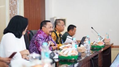 Kalsel Dorong Luas Tambah Tanam, Targetkan 75 Ribu Hektare Bulan Ini