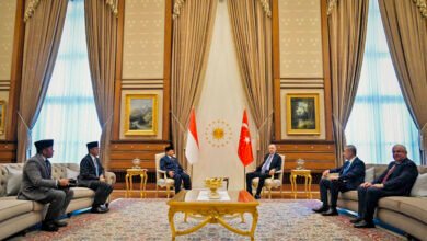 Hangat dan Penuh Persahabatan, Presiden Prabowo Gelar Pertemuan Tête-à-Tête dengan Presiden Erdoğan