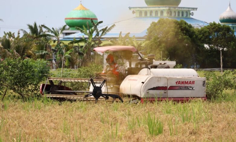 Hingga April 2025, Bulog Kalsel Catat Realisasi Serapan Gabah dari Petani Capai 7.400 Ton