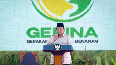 Luncurkan Gerina, Presiden Apresiasi Partisipasi Aktif Wujudkan Ketahanan Pangan Nasional