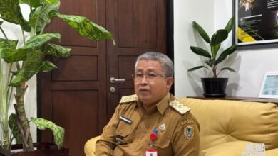Pemprov Kalsel Pacu Transformasi Ekonomi Melalui Hilirisasi dan Penguatan Agroindustri