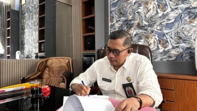 Pemprov Kalsel Upayakan Rehabilitasi Mangrove di Kabupaten Tanah Laut dan Tanah Bumbu