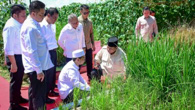 Presiden Prabowo: Indonesia Jadi Lumbung Pangan Dunia