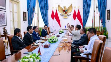 Terima Pimpinan Komisi V DPR RI, Presiden Prabowo Bahas Infrastruktur, Irigasi, dan Permukiman