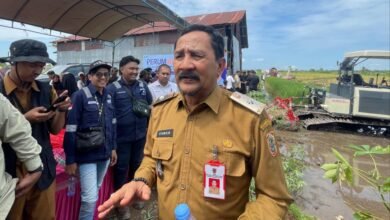 Komitmen Kalsel Menuju 10 Besar Penyumbang Pangan Nasional