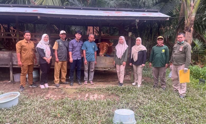 Pemprov Kalsel Pastikan Ketersediaan Hewan Kurban Tahun 2025 Aman