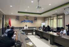 Bulog Kalsel Cetak Rekor, Stok Beras Tertinggi Sepanjang Sejarah Capai 29.968 Ton