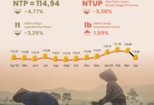 NTP Kalsel Sebesar 114,94 pada April 2025